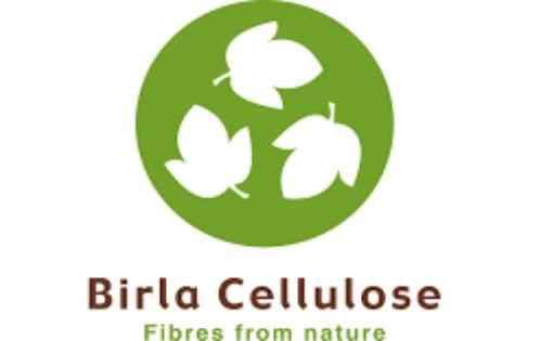 Birla Cellulose BIG